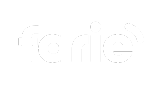 Farie Logo x R17 Ventures AG | Performance Marketing Agency